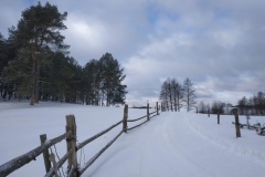 z24