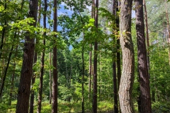 IMG_20210904_120726