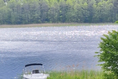 IMG_20220528_092526