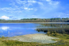 IMG_20200404_173540-EFFECTS