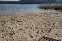 IMG_20200419_115113_041