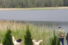 IMG_20220529_114706
