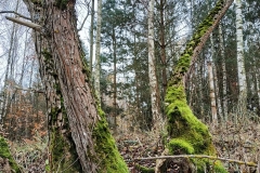 IMG_20200128_144558_627