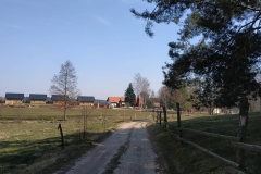 IMG_20200419_115113_036