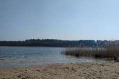 IMG_20200328_110828