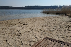 IMG_20200328_110848