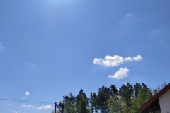 IMG_20210517_103401