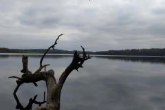 IMG_20200128_144558_611