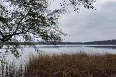 IMG_20200211_124312_220