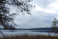 IMG_20200211_124312_222