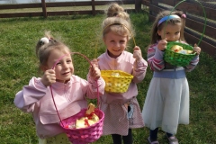IMG_20200412_111440